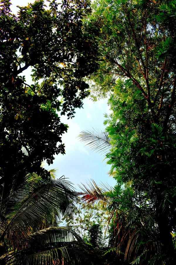 Villa Tulip Garden Anuradhapura Εξωτερικό φωτογραφία