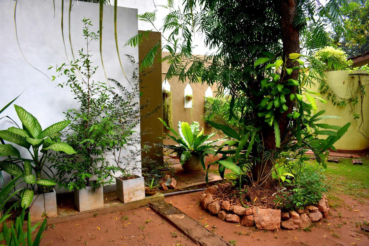 Villa Tulip Garden Anuradhapura Εξωτερικό φωτογραφία