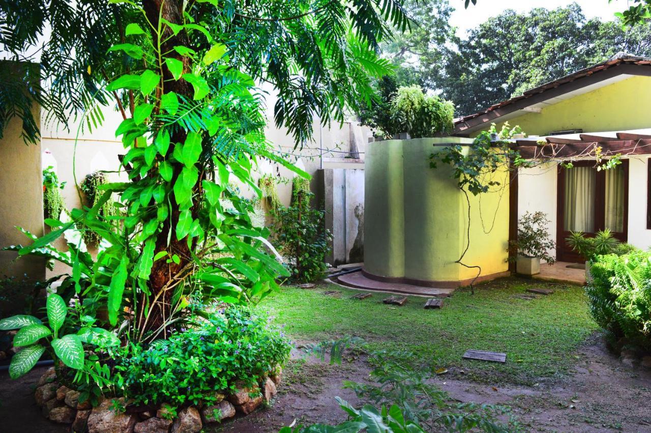 Villa Tulip Garden Anuradhapura Εξωτερικό φωτογραφία